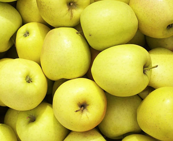 Apples golden | Il peccato di Eva