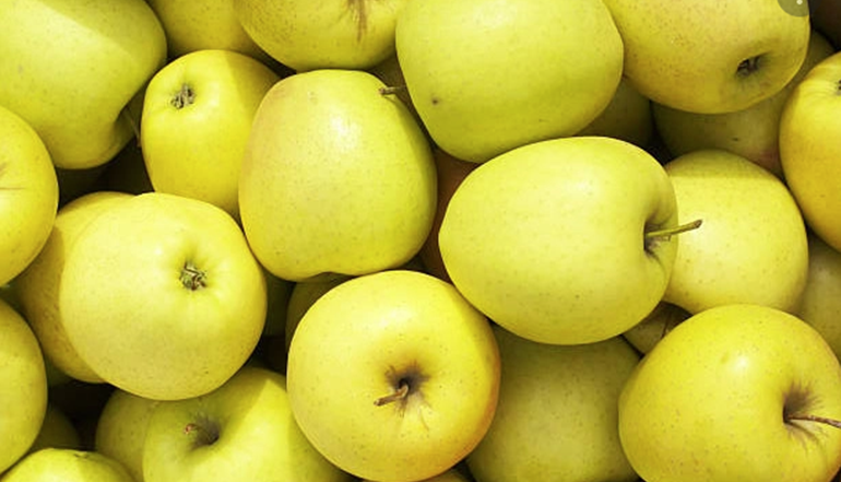 Apples golden | Il peccato di Eva