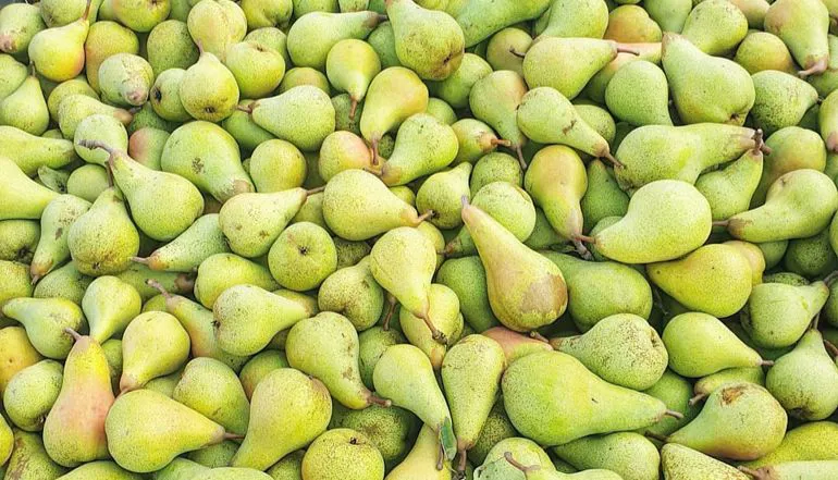 Pere william | Il peccato di Eva