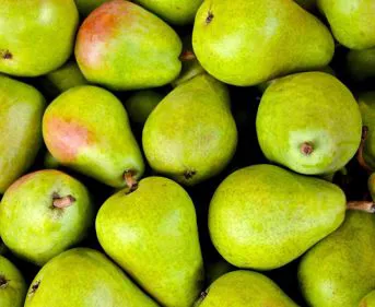 Pere conference | Il peccato di Eva
