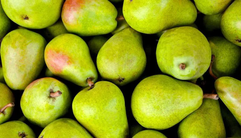 Pere conference | Il peccato di Eva